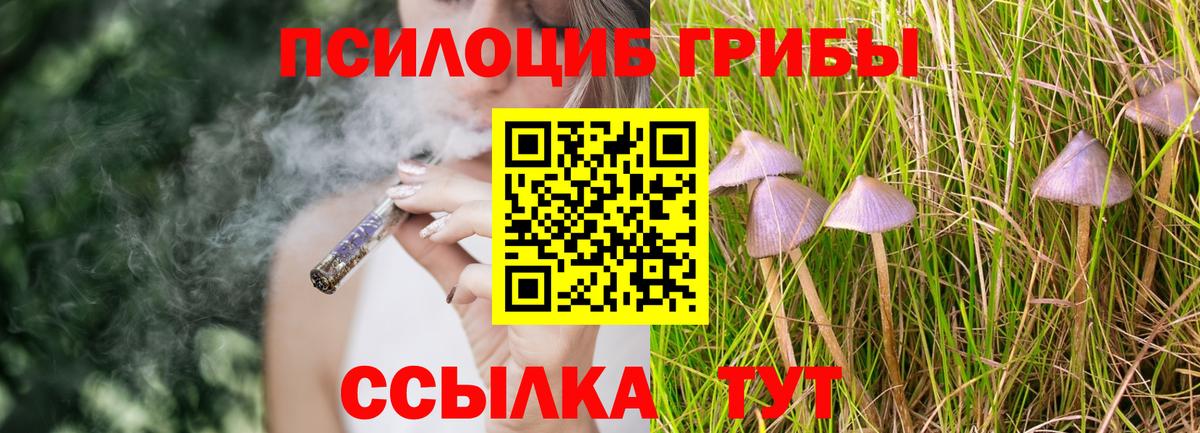 Псилоцибиновые грибы ЛСД  Вход с VPN  Галлюциногенные грибы прущие грибы  Новозыбков 